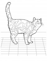 disegni/gatti/gatti_cats_ 31.jpg